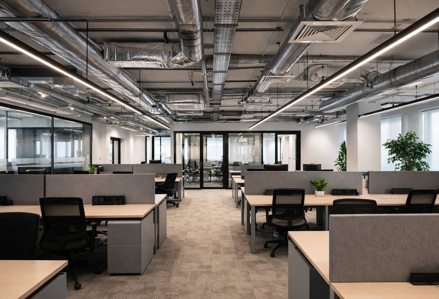 Modern commercial interior with exposed HVAC services, coordinated ceiling systems and completed fit-out finishes.